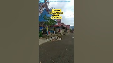 tempat pelelangan ikan di sulawesi