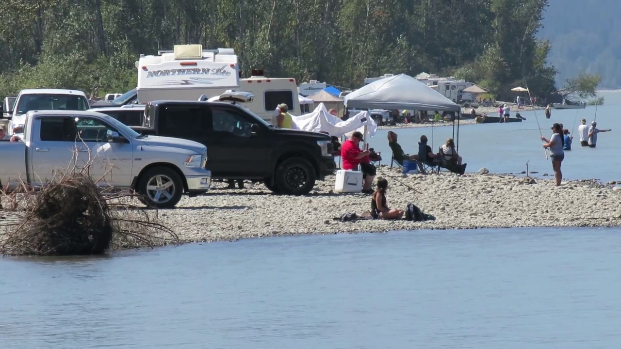 Opening Day Of The Salmon Season In Chilliwack. On The Fraser River, August 7, 2018 - YouTube