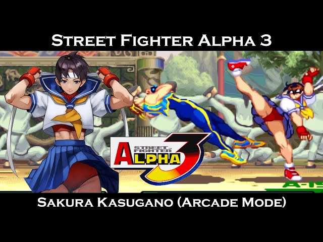 プロテア スサラ 3 プロテア 『スザーラ』 オーストラリアンプランツ | すべての