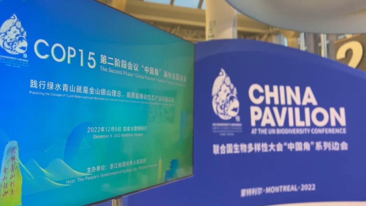 GLOBALink | E China's Huzhou recognized as int'l example of preserving ...
