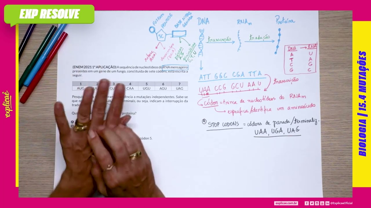 A SEQUÊNCIA DE NUCLEOTÍDEOS DO RNA MENSAGEIRO PRESENTES EM UM GENE DE UM FUNGO, (...) | MUTAÇÕES