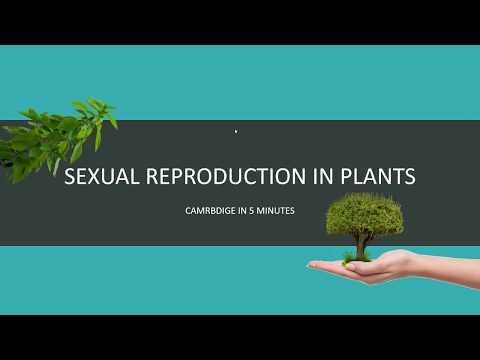 IGCSE BIOLOGY REVISION [Syllabus 16] - Plant Reproduction