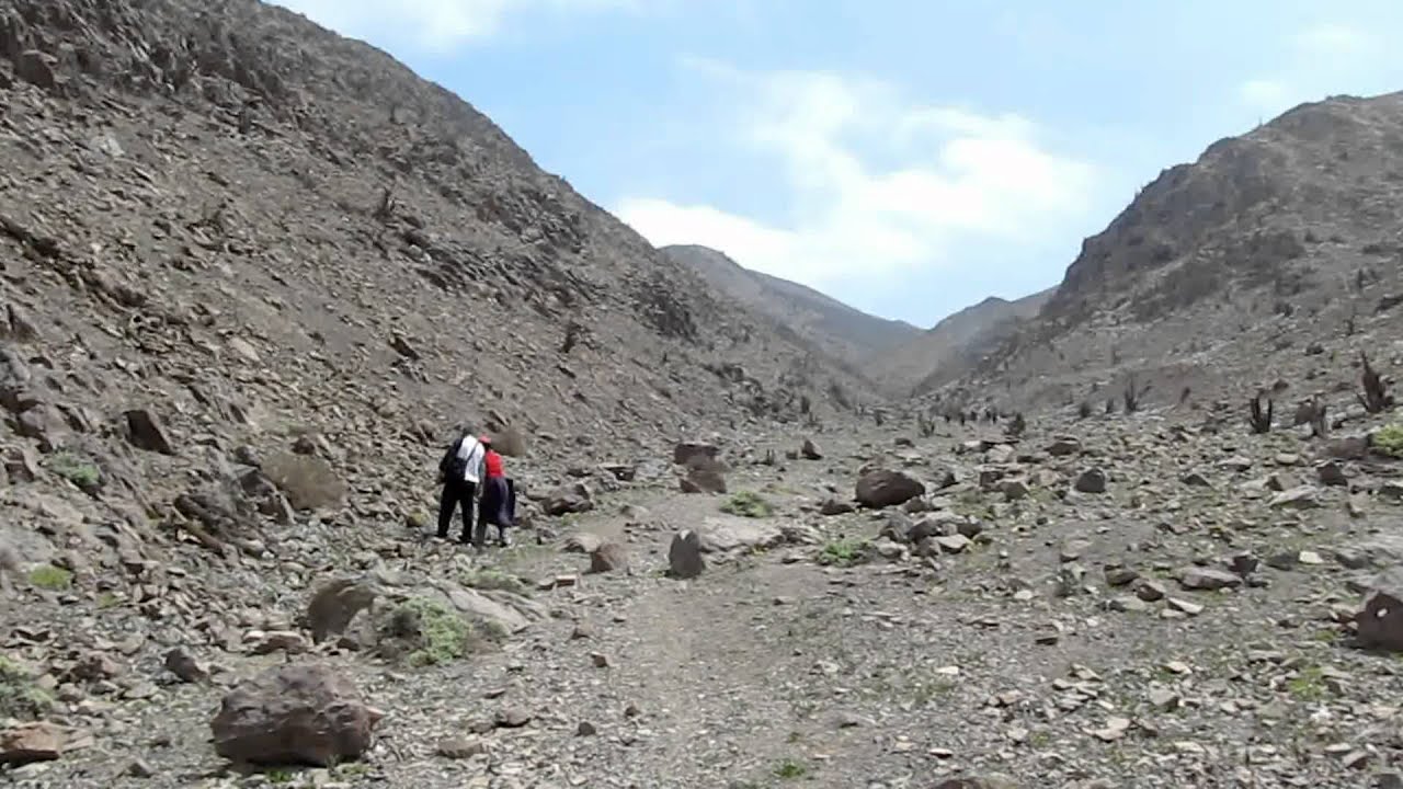 QUEBRADA DE LA CHIMBA (Antofagasta, Chile) YouTube