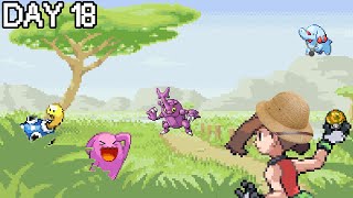 🔴100%ing POKéMON Emerald DAY 18. !cat !rules [CAT SURGERY FUND] [SAFARI ZONE]