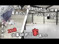 コンクリートをひたすら磨いて塗装することで理想のガレージを手に入れました（ガレージ塗装後編）【22歳仕事辞めて家買った＃10】