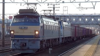 JR貨物 EF66-33+EF66-126 重連貨物列車 (月曜1353レ) 清洲駅 貨物専用線