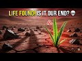 Why finding aliens could be our end 🛑
