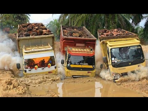 KDM URUS PASPOR‼️BUAT OTW MALAYSIA? YOUNG SYEFURA OTHMAN BAHAGIA SAMBUT RAJA JAWA BARAT!! KAWAL DAK!