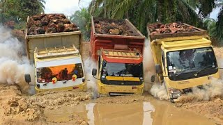 Download Lagu Jalan Yang Mustahil Dilewati || Perjuangan Tersulit Sopir Truck Di Pedalaman Riau Indonesia MP3