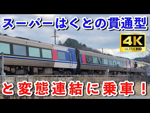 A2053 智頭急行 HOT-7000系 スーパーはくと・貫通型・現行 6両 智頭急行】HOT7000系特急スーパーはくと号の貫通型、変態連結に乗って