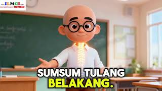 CLASS 4 SCIENCE Human Skeleton Head, body and limb skeleton