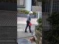 注意看板まるで無視のマナーが悪過ぎる犬の飼い主たち　#Shorts #防犯カメラ映像 #迷惑飼い主