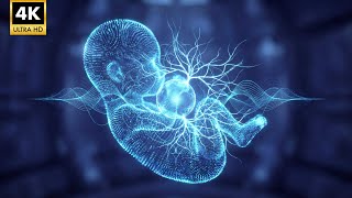 Sacred Sleep Frequencies | 432Hz Harmonic Field & 528Hz DNA Healing (Deep Night Music)