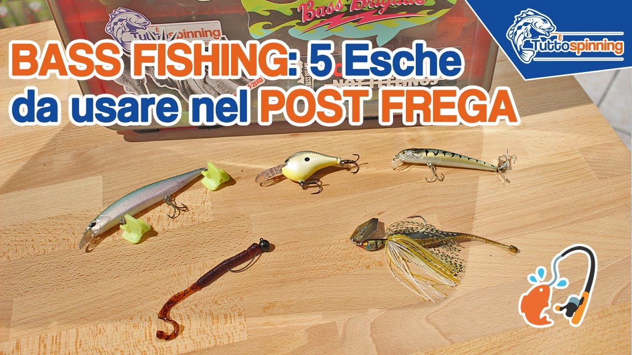 U-K Strumento da pesca, ago per lombrichi in acciaio inox, pratico strumento per trasportare esche per lombrichi. Utile e pratico