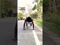 #viral #trending #motivation