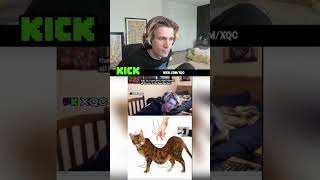 xQc explains why he CANT pet his cat 😭