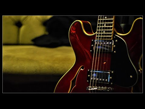 Blues, The Bottlesnakes  - Inside Out Blues