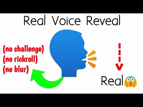 Voice Reveal (deleting in 24 hours) - Voice Reveal (deleting in 24 hours)

