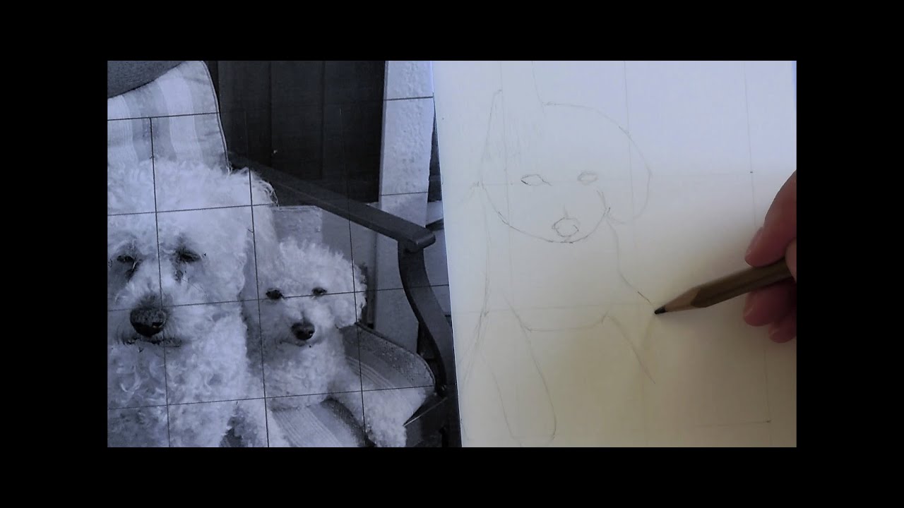 Transfer Example Drawing A tutorial on how to transfer a drawing using the grid method. I will ...