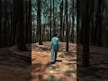Capcut Pro Colour Grading Adjustment 🔝🎬#filmmaker #editor #shortsfeed #shortvideo #shorts #edit