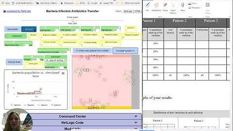 Lesson 11 NetLogo simulation video 1