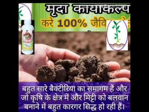 मिट्टी-के-ph-मान-को-कैसे-ठीक-करे-,how-to-maintain-soil-ph-value--mrida-kayakalp-(denmart-marketing)