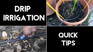 Drip Irrigation Quick Tips