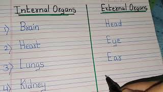 Internal organs/10 internal organs/External organs/10 External organs/ Internal&External Organs Name