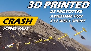 Terrible Pilot - DS 3D Printed Prototype