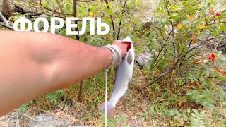 картинка: Мохигири дар Точикистон#Гулмохи #рыбалка в ТАДЖИКИСТАНЕ #ФОРЕЛЬ