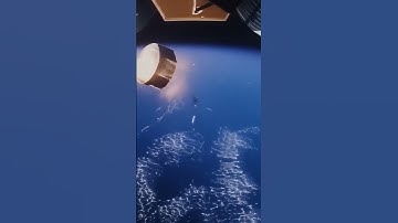 Project Starlight