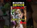 家に川が流れる水道代ゼロの家