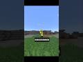 Minecraft but diamond 💎 || Z black gamer 😎 #freestyle