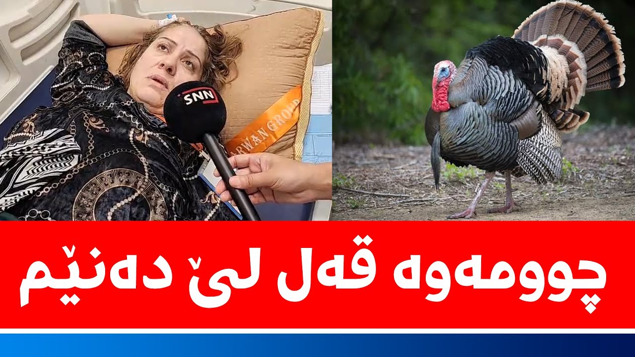 مامۆستا پاکیزە چەند کیلۆ کەمی کردووە و حەزی لە چ خواردنێکە؟