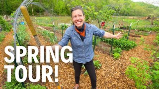 Lazy Gardening Has Paid Off! | FULL Spring Garden Tour 2024!
