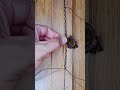 Tutorial de collares en macrame, Paso a paso