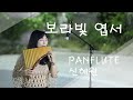 보라빛 엽서 - 설운도 '신혜원 팬플룻 연주_shinhaewon_ Panflute'