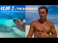 I SWAM WITH WILD DOLPHINS &amp; STINGRAYS | Tyler Cameron Vlogs