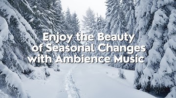 Enjoy the Beauty of Seasonal Changes with Ambience Music