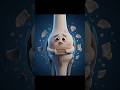 Knee Pain After 30? Reason Shocks! 30 దాటాక మోకాళ్ల నొప్పి మొదలైందా#shortsfeed #kneepain #bonehealth