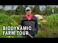 Purple Pear Biodynamic Permaculture Farm Tour