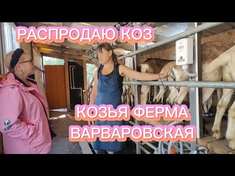 ПОЧЕМУ Я РАСПРОДАЮ