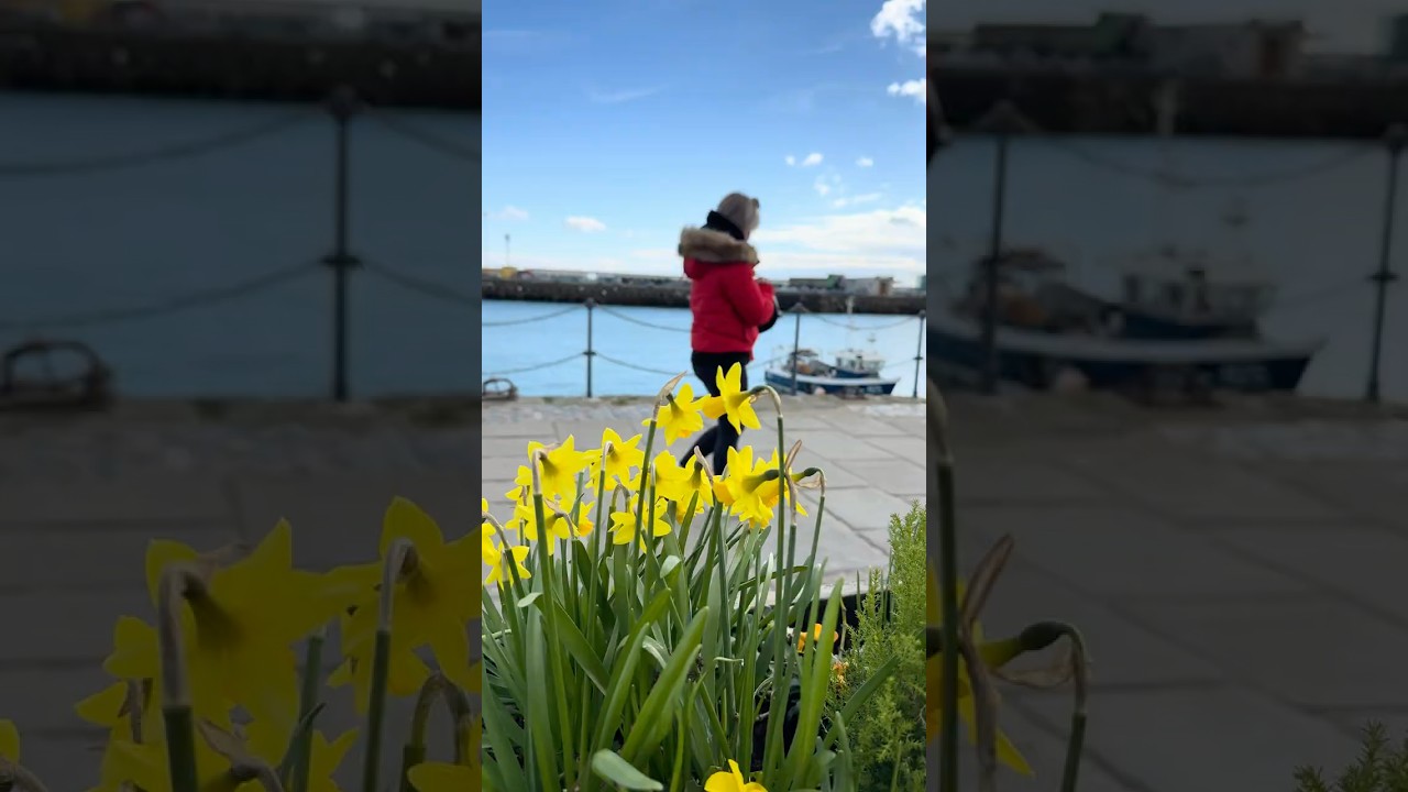 Folkstone, Kent, Uk. 🇬🇧 this doesn’t look real. 