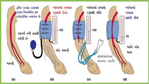 std : 10th  SCIENCE  Ch : 6 | Part (9) | જૈવિક ક્રિયાઓ | SSC |  NCERT | 2020 | મનુષ્યમાં વહન