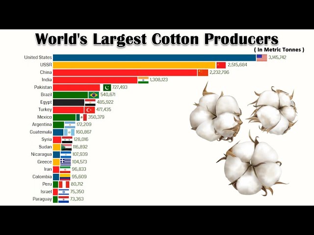 Top 7 Cotton-Producing Countries in the World