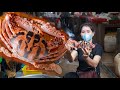 Buy tiger crab for recipe | Tiger crab cooking glass noodle | Cooking with sros