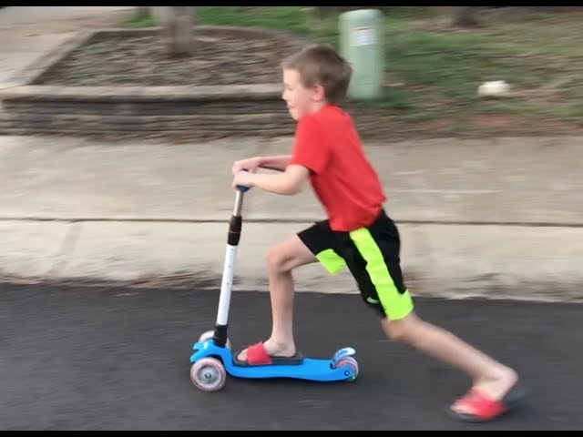 beleev kick scooter