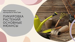 картинка: 818. Ещё раз о пикировке…