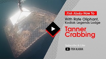 Fish Alaska How To: Tanner Crabbing