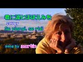 君に涙とほほえみを /cover [イタリア語・日本語歌詞付き] song by martin